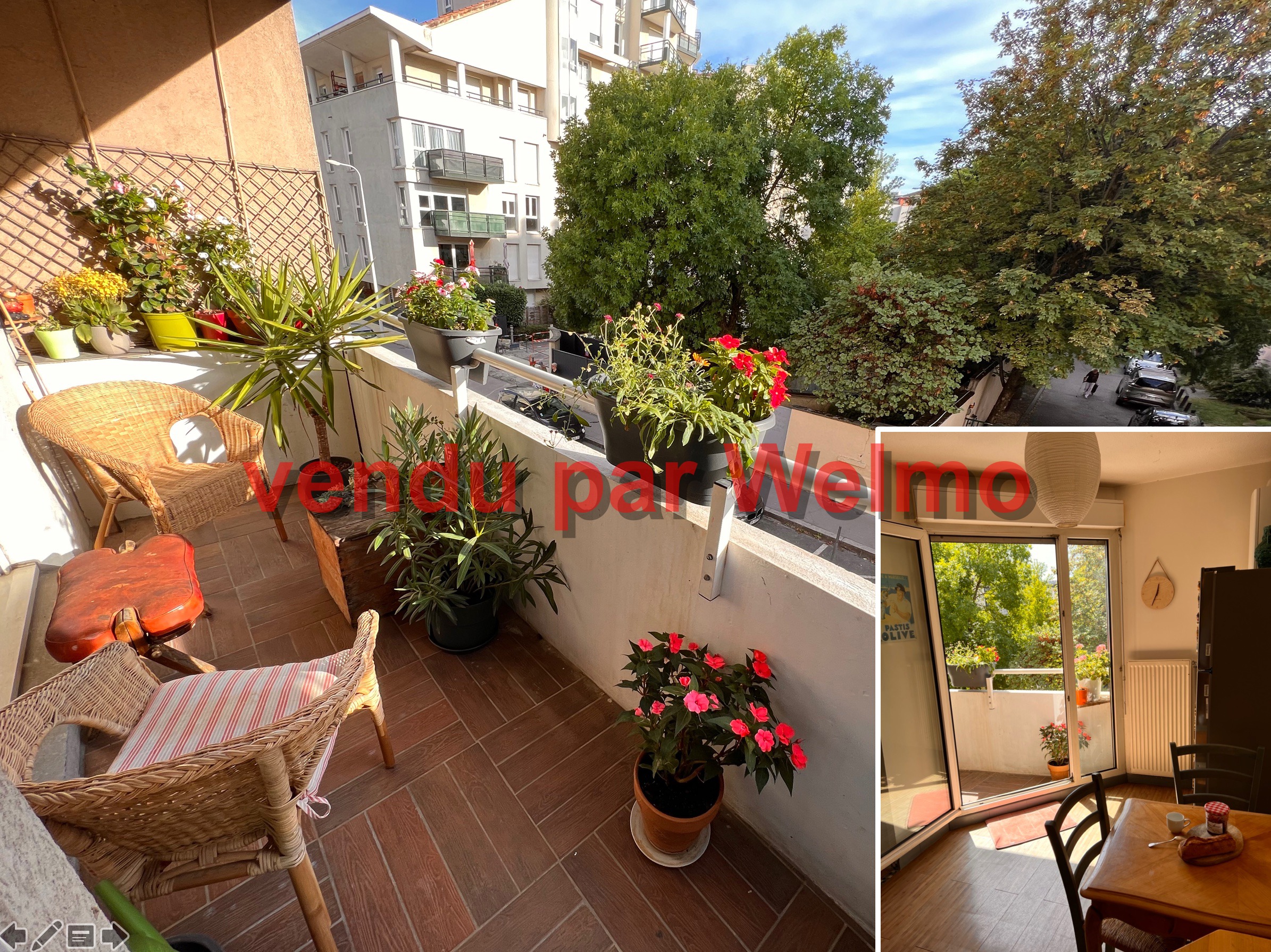 Appartement